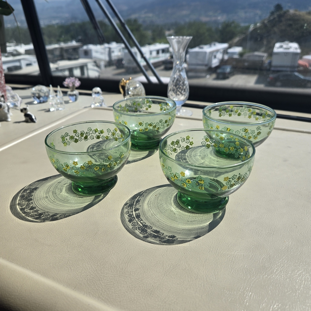 Domion Glass Bowls